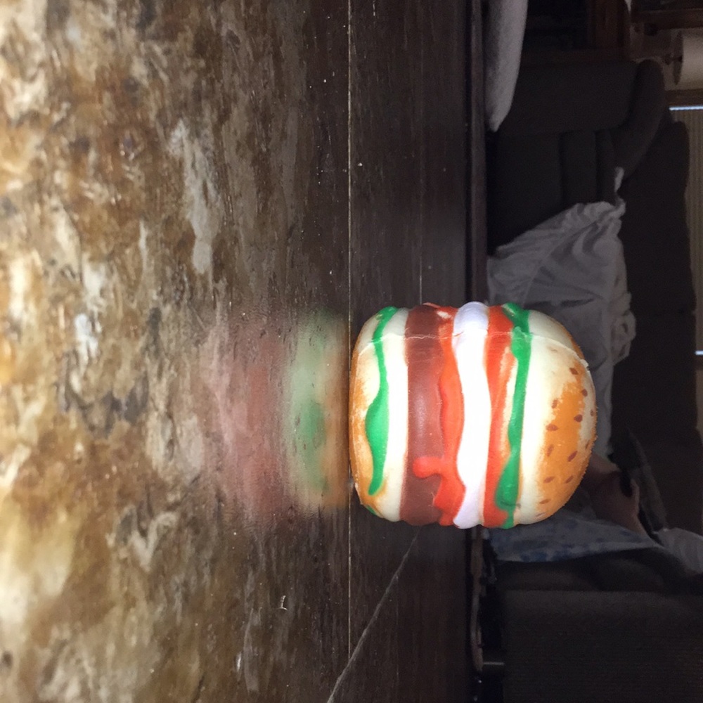 A hamburger squishy